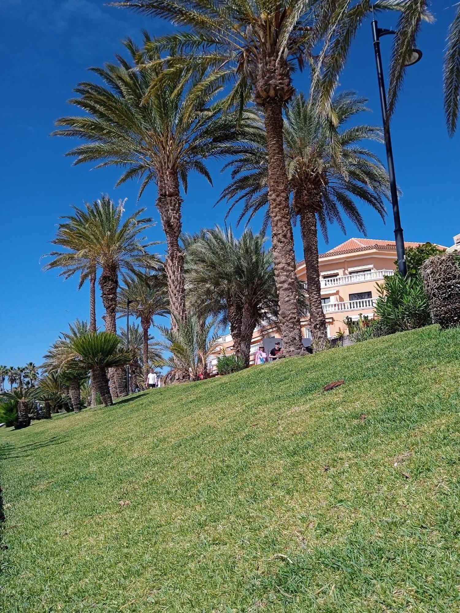 Apartamento Familiar Con Piscina Con Wi Fi En Los Cristianos ロスクリスティアーノス エクステリア 写真